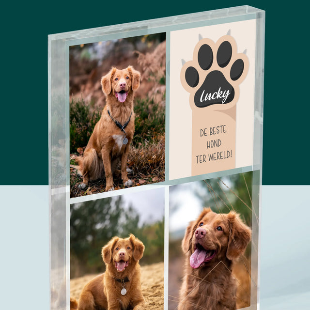 Fotocollage: Beste Hond - Acryl Blok