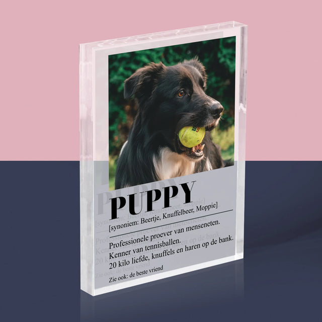 Foto En Handtekening: Huisdier Definitie - Acryl Blok