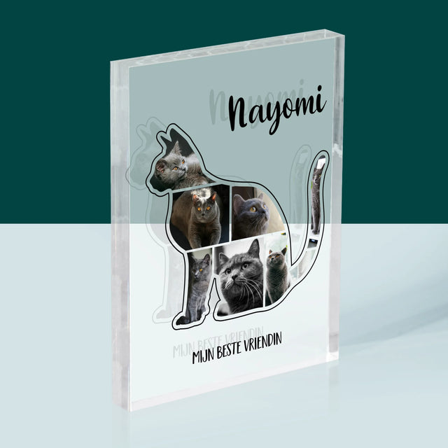 Vorm Van Foto'S: Kat Is De Beste Vriend - Acryl Blok