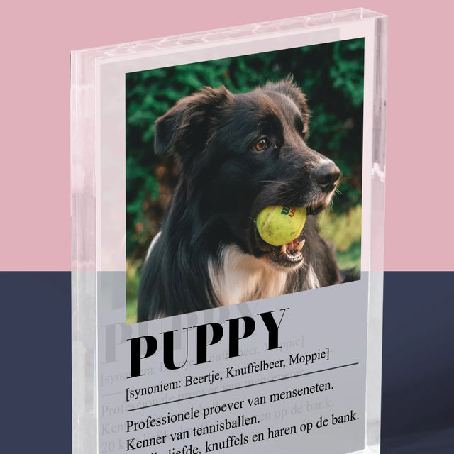 Foto En Handtekening: Huisdier Definitie - Acryl Blok