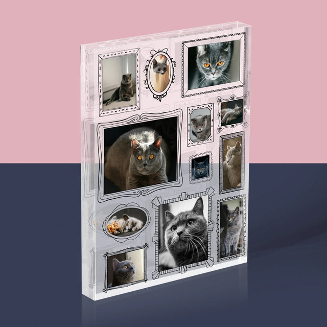 Fotocollage: Fotomuur Met Jouw Huisdier - Acryl Blok