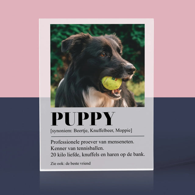 Foto En Handtekening: Huisdier Definitie - Acryl Blok