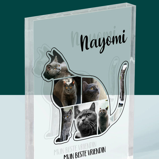 Vorm Van Foto'S: Kat Is De Beste Vriend - Acryl Blok