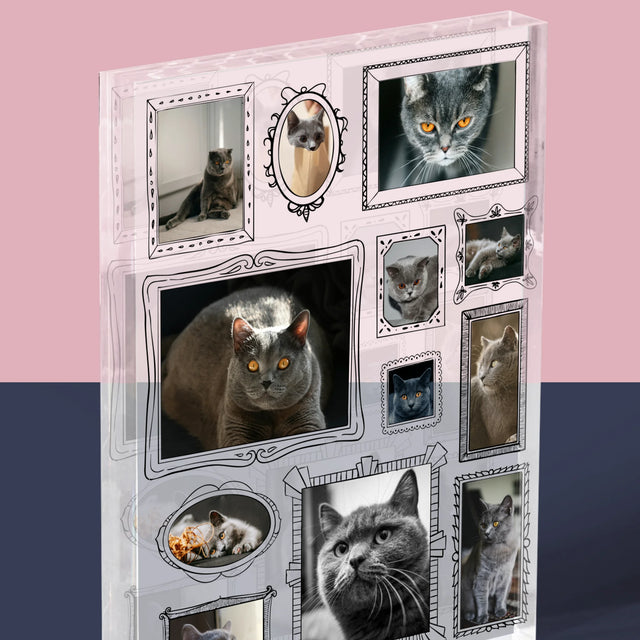 Fotocollage: Fotomuur Met Jouw Huisdier - Acryl Blok
