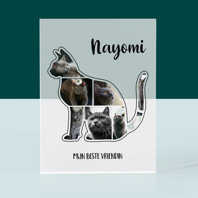 Vorm Van Foto'S: Kat Is De Beste Vriend - Acryl Blok