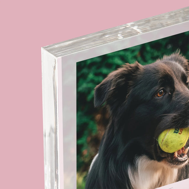 Foto En Handtekening: Huisdier Definitie - Acryl Blok