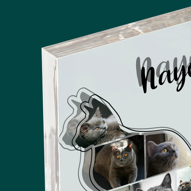 Vorm Van Foto'S: Kat Is De Beste Vriend - Acryl Blok