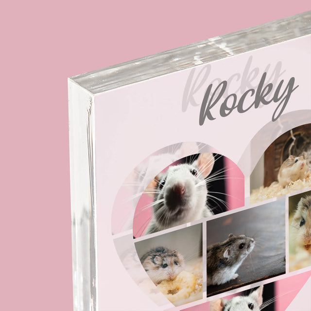 Fotocollage: Hamster - Acryl Blok