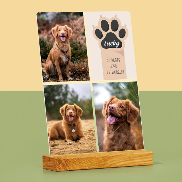 Fotocollage: Beste Hond - Afdruk Op Acrylglas (Verticaal)