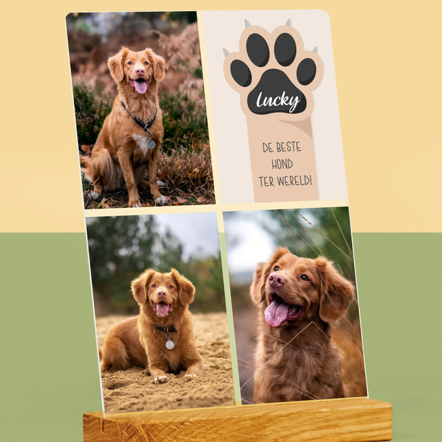 Fotocollage: Beste Hond - Afdruk Op Acrylglas (Verticaal)