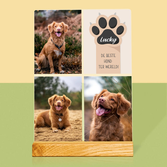 Fotocollage: Beste Hond - Afdruk Op Acrylglas (Verticaal)