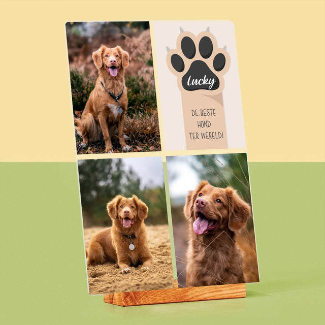 Fotocollage: Beste Hond - Afdruk Op Acrylglas (Verticaal)