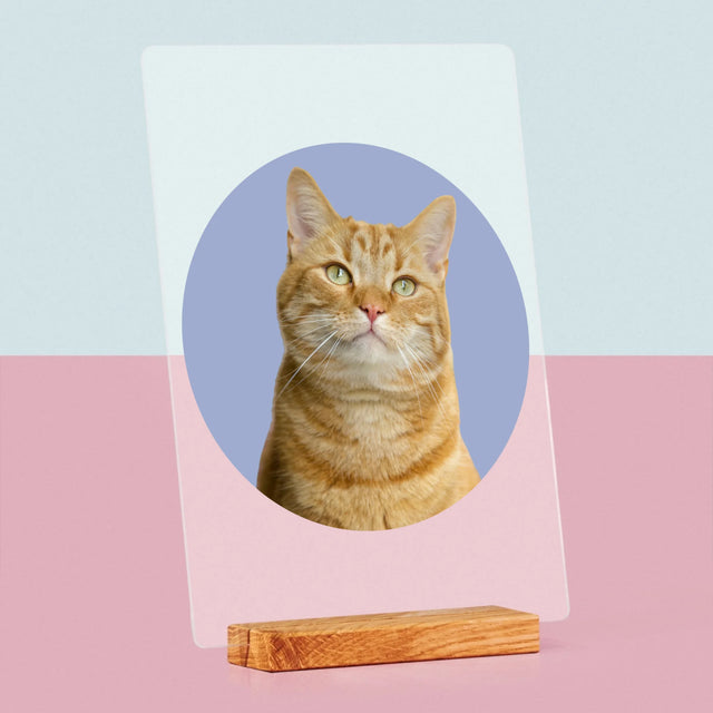 Foto: Jouw Kat - Afdruk Op Acrylglas (Verticaal)