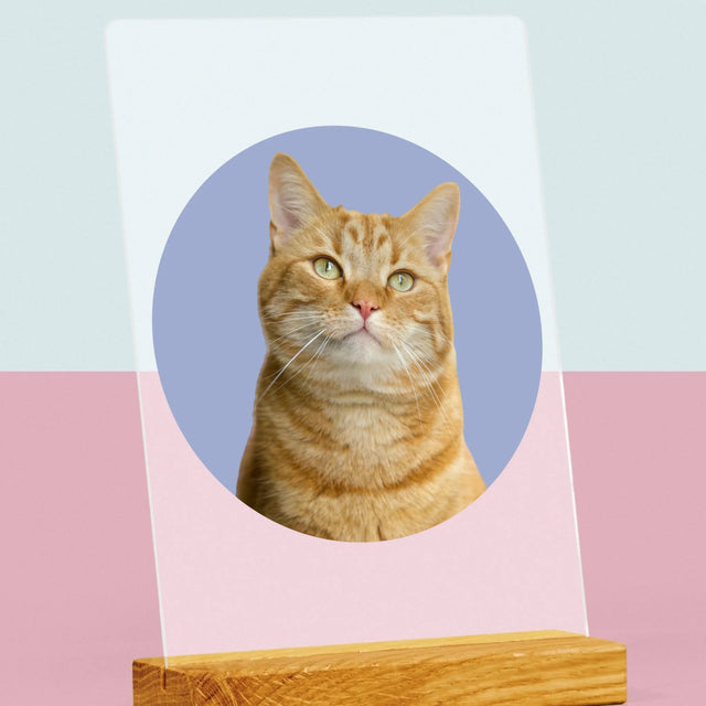 Foto: Jouw Kat - Afdruk Op Acrylglas (Verticaal)