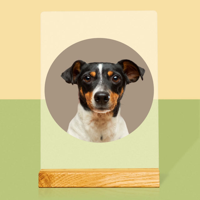 Foto: Jouw Hond - Afdruk Op Acrylglas (Verticaal)