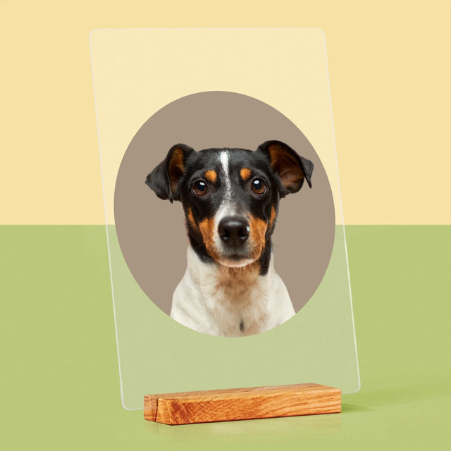 Foto: Jouw Hond - Afdruk Op Acrylglas (Verticaal)