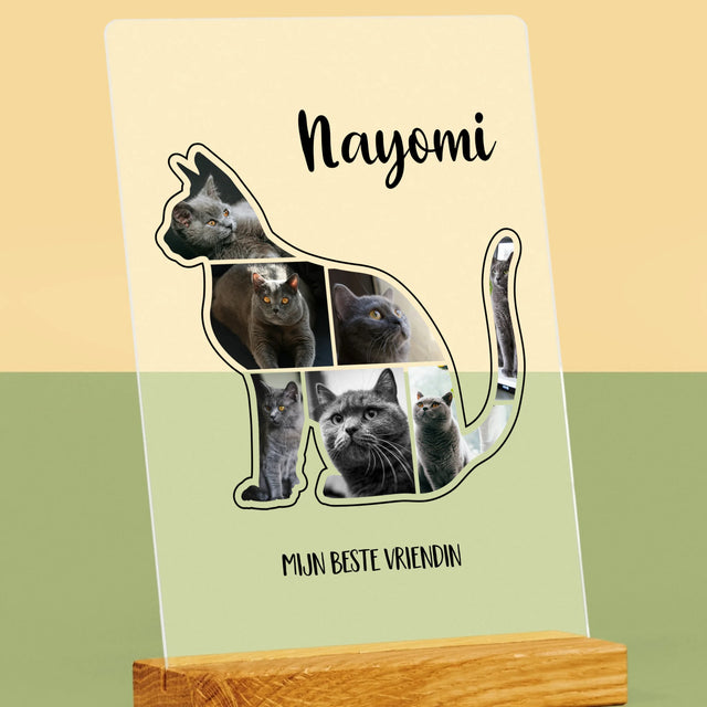 Vorm Van Foto'S: Kat Is De Beste Vriend - Afdruk Op Acrylglas (Verticaal)