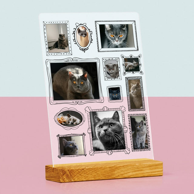 Fotocollage: Fotomuur Met Jouw Huisdier - Afdruk Op Acrylglas (Verticaal)