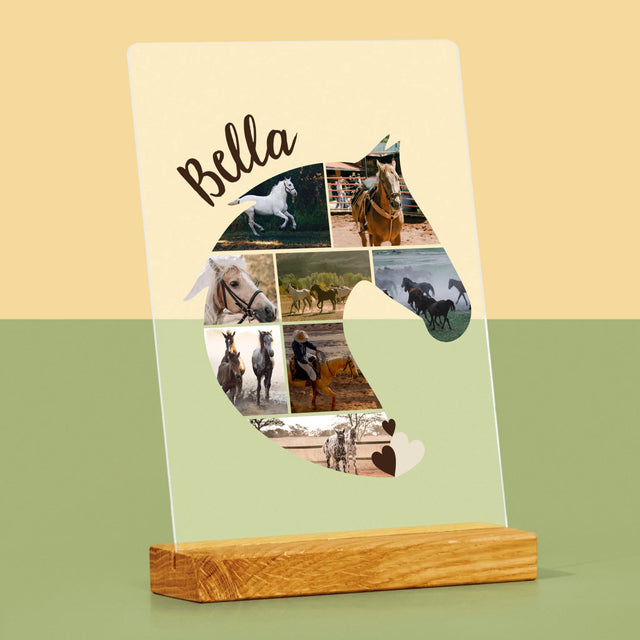 Vorm Van Foto'S: Paard - Afdruk Op Acrylglas (Verticaal)