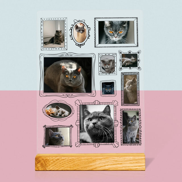 Fotocollage: Fotomuur Met Jouw Huisdier - Afdruk Op Acrylglas (Verticaal)