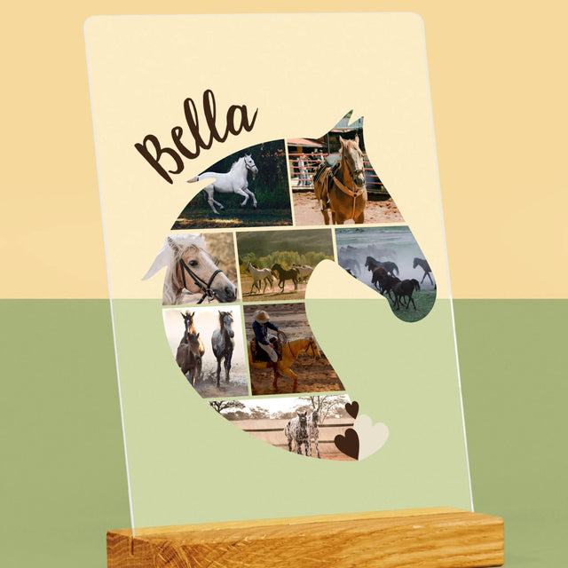 Vorm Van Foto'S: Paard - Afdruk Op Acrylglas (Verticaal)