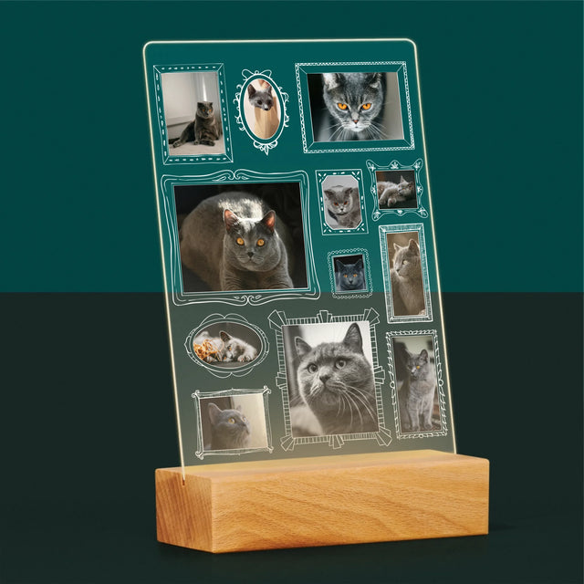 Fotocollage: Fotomuur Met Jouw Huisdier - Afdruk Op Acrylglas (Verticaal)