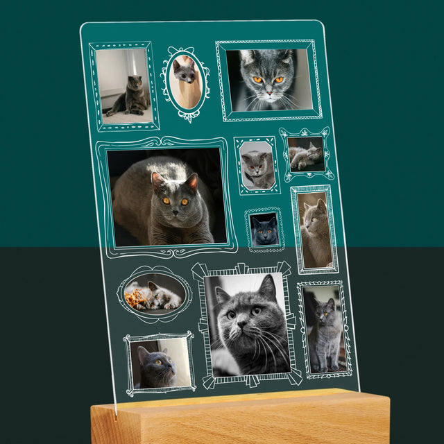 Fotocollage: Fotomuur Met Jouw Huisdier - Afdruk Op Acrylglas (Verticaal)