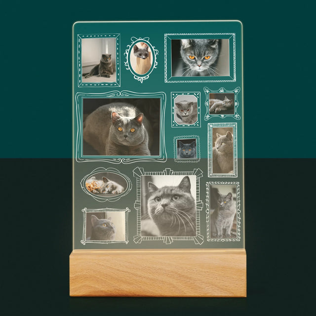 Fotocollage: Fotomuur Met Jouw Huisdier - Afdruk Op Acrylglas (Verticaal)