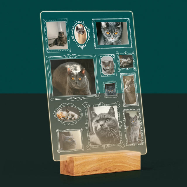 Fotocollage: Fotomuur Met Jouw Huisdier - Afdruk Op Acrylglas (Verticaal)