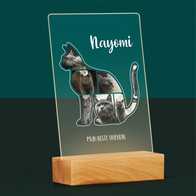 Vorm Van Foto'S: Kat Is De Beste Vriend - Afdruk Op Acrylglas (Verticaal)