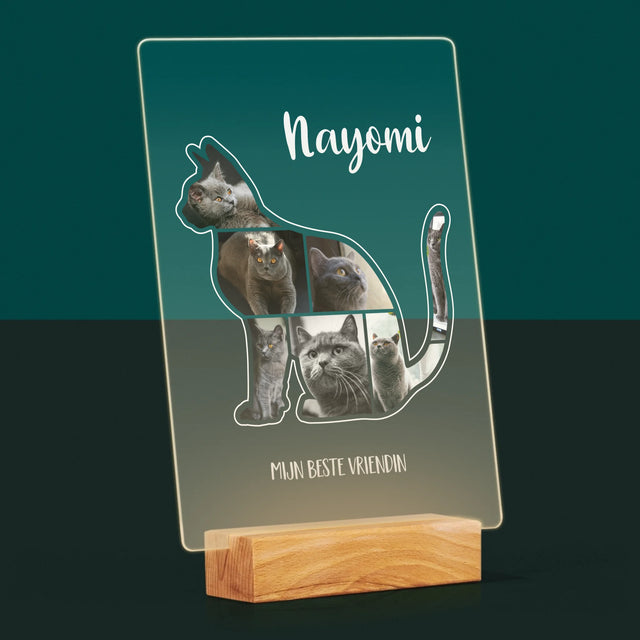 Vorm Van Foto'S: Kat Is De Beste Vriend - Afdruk Op Acrylglas (Verticaal)