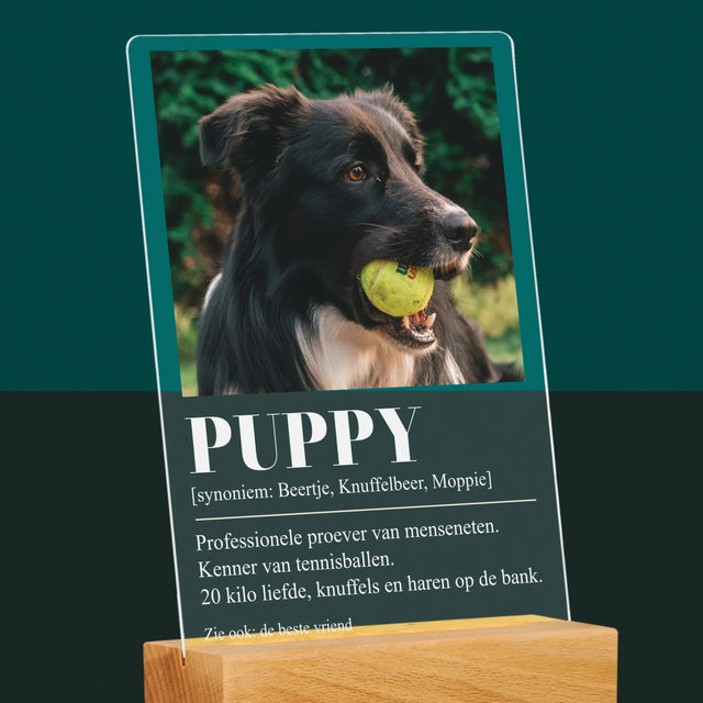 Foto En Handtekening: Huisdier Definitie - Afdruk Op Acrylglas (Verticaal)