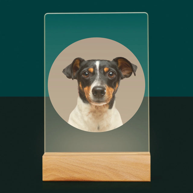 Foto: Jouw Hond - Afdruk Op Acrylglas (Verticaal)