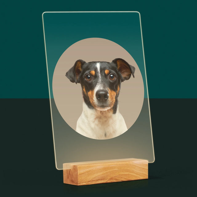 Foto: Jouw Hond - Afdruk Op Acrylglas (Verticaal)