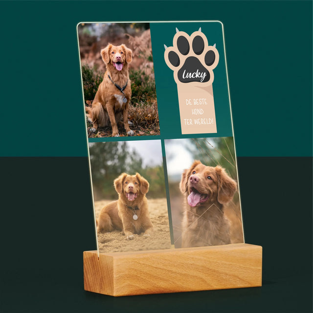 Fotocollage: Beste Hond - Afdruk Op Acrylglas (Verticaal)