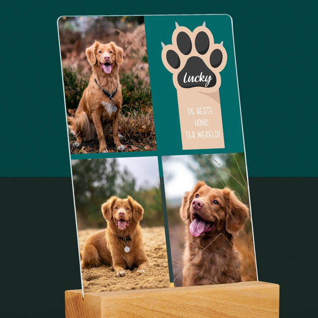 Fotocollage: Beste Hond - Afdruk Op Acrylglas (Verticaal)