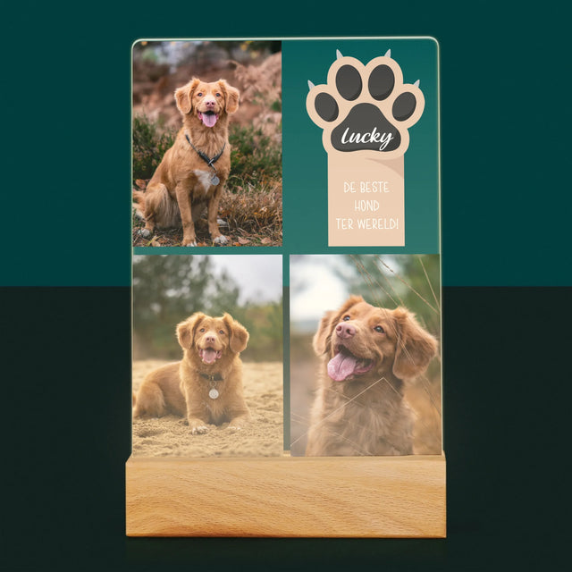 Fotocollage: Beste Hond - Afdruk Op Acrylglas (Verticaal)