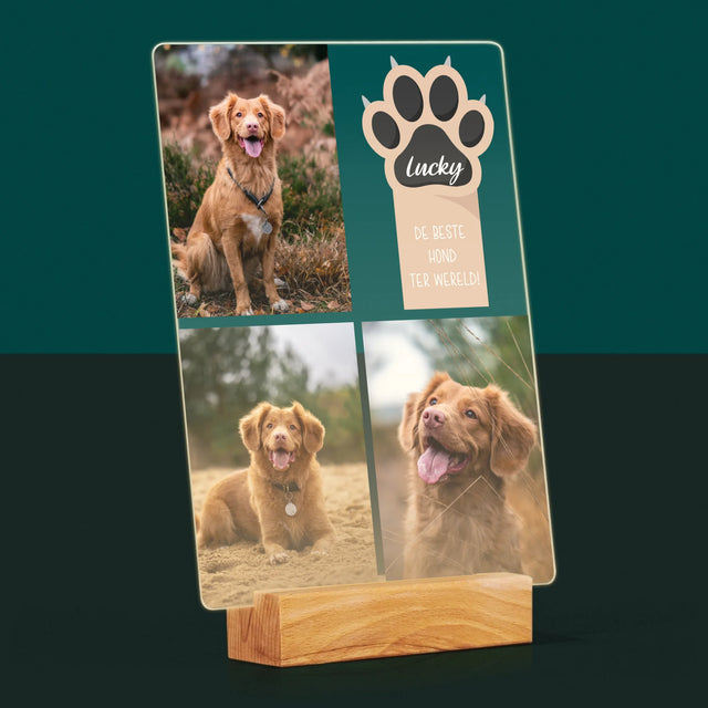 Fotocollage: Beste Hond - Afdruk Op Acrylglas (Verticaal)
