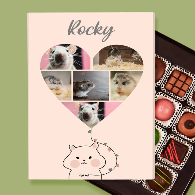 Fotocollage: Hamster - Pralines