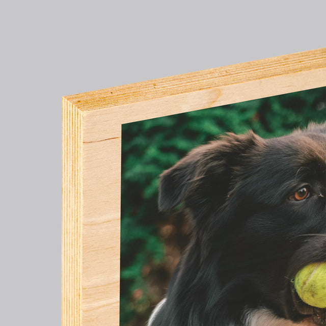 Foto En Handtekening: Huisdier Definitie - Afdruk Op Hout (Verticaal)