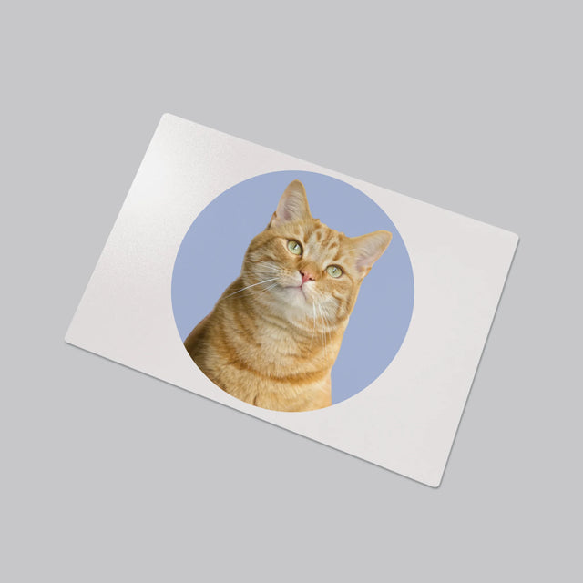 Foto: Jouw Kat - Bureauonderlegger