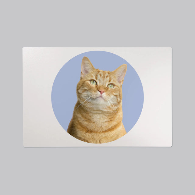 Foto: Jouw Kat - Bureauonderlegger