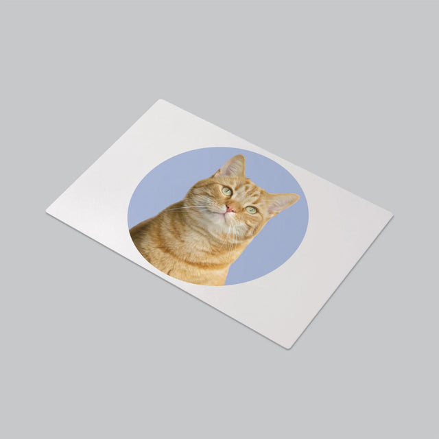 Foto: Jouw Kat - Bureauonderlegger