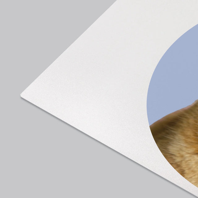 Foto: Jouw Kat - Bureauonderlegger