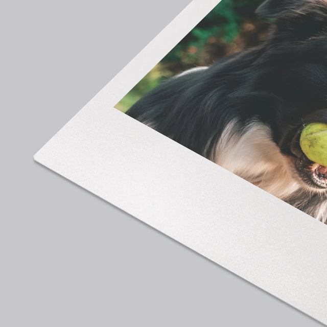 Foto En Handtekening: Huisdier Definitie - Bureauonderlegger