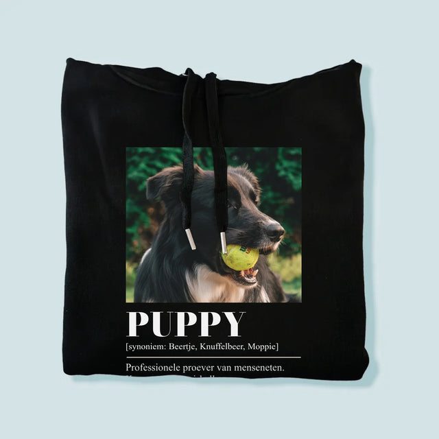 Foto En Handtekening: Huisdier Definitie - Herentrui Met Kap