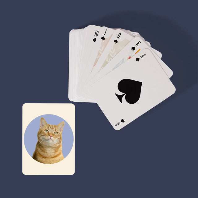 Foto: Jouw Kat - Speelkaarten