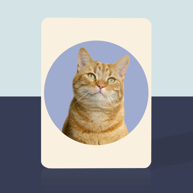 Foto: Jouw Kat - Speelkaarten