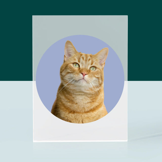 Foto: Jouw Kat - Acryl Blok