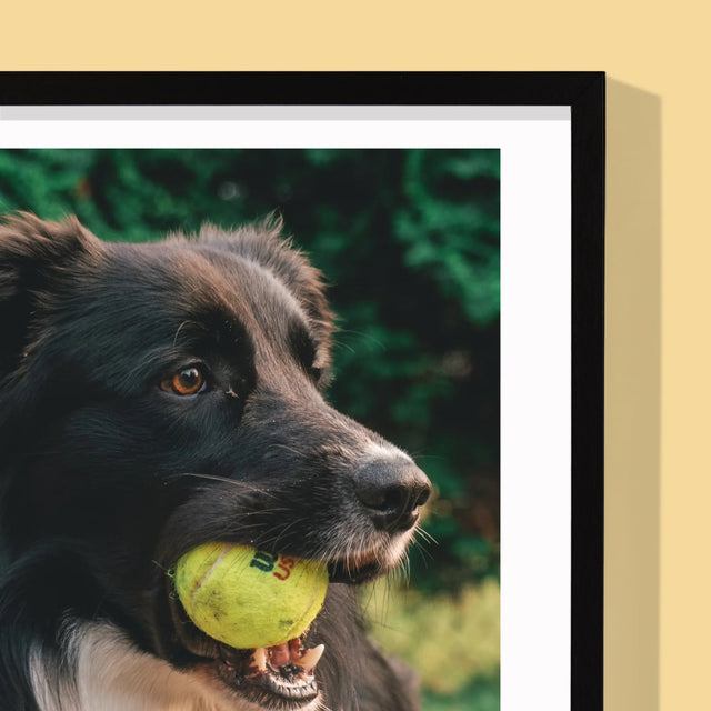 Foto En Handtekening: Huisdier Definitie - Afdruk Met Frame 30X40 (Verticaal)